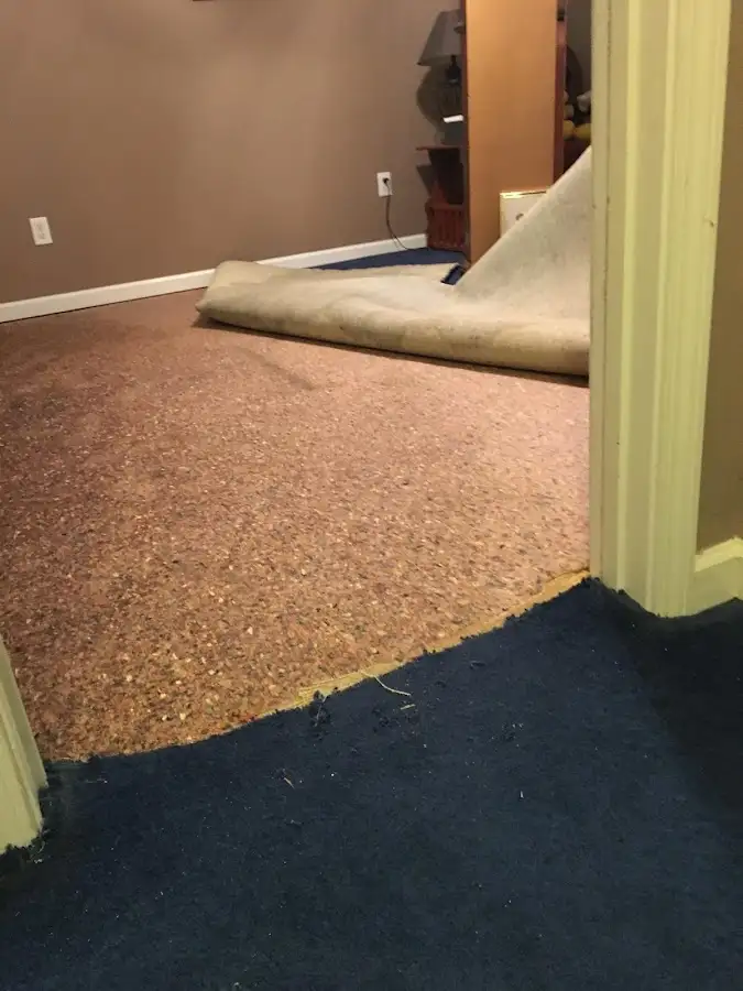 Carpet pad removal revealing water damage during Water Mitigation Services in Oak Ridge