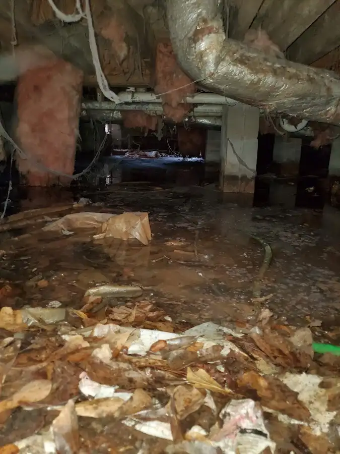 Crawl space flood assessment for Leak Detection & Repair in Oak Ridge